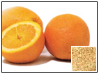 Orange Information