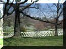 Spring in Arlington