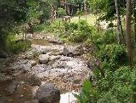Mapawa Nature Park