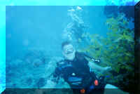 dive03.jpg (86206 bytes)