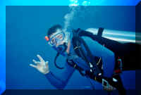 dive13.jpg (64073 bytes)