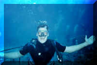 dive14.jpg (72436 bytes)