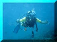 dive27.jpg (68331 bytes)