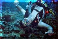 dive28.jpg (449497 bytes)