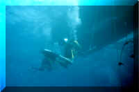 dive29.jpg (52258 bytes)