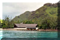 tiki0.jpg (119434 bytes)