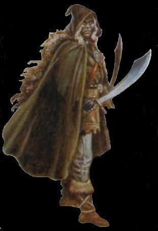 Drizzt with Twinkle and his Frostbrand