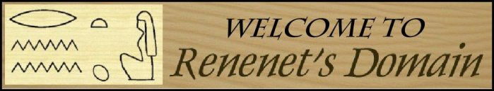 Welcome to Renenet's Domain