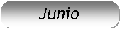 Rect�ngulo redondeado: Junio