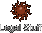 Disclaimer