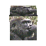 Photo Cube Copyright �1998 Loraine Fergus