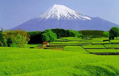 Mount Fuji