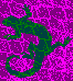 Lizards