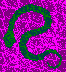 Snakes