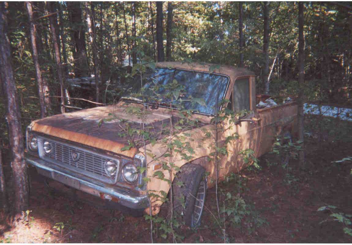 76' in the weeds