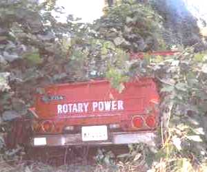 Kudzu Repu