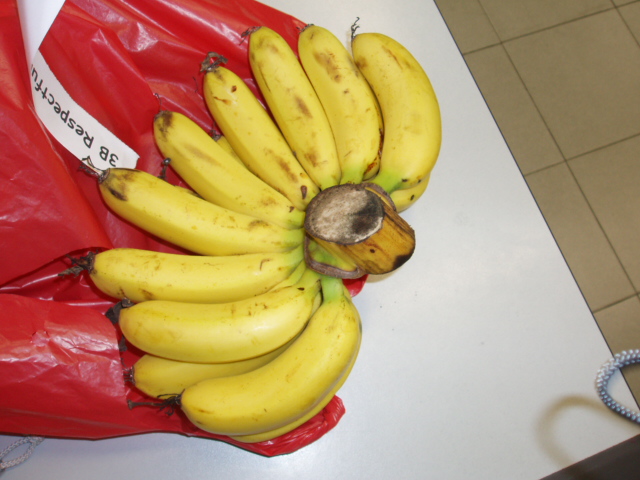 A bunch of bananas