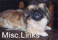 Amber Likes These Links