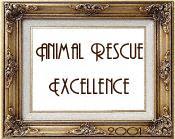 Award #4