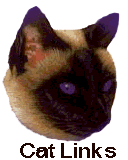 This Kitty watches closely over Cat Links