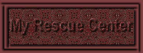Welcome to the One & Only Rescue Center