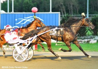 Mohawk Racetrack horseracing Google image from http://z.about.com/d/horseracing/1/0/S/e/2/bcrown08-ot1a.jpg