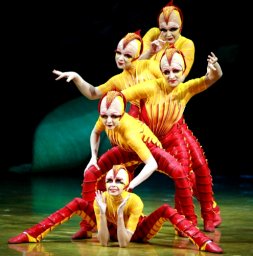 OVO Cirque du Soleil Google image from  http://z.about.com/d/montreal/1/0/w/A/-/-/cirque_du_soleil_OVO_acrosport4.jpg