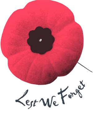 Poppy: Lest We Forget - Remembrance Day Google image from http://pulse.feds.ca/system/files/poppy_300.jpg