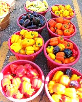St. Jacobs Farmers Market Google image from http://farm4.static.flickr.com/3141/2834294908_18993910c1.jpg?v=0