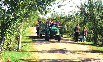 Chudleigh's Apple Farm Google image from http://www.kidsummer.com/images/events/event4.jpg