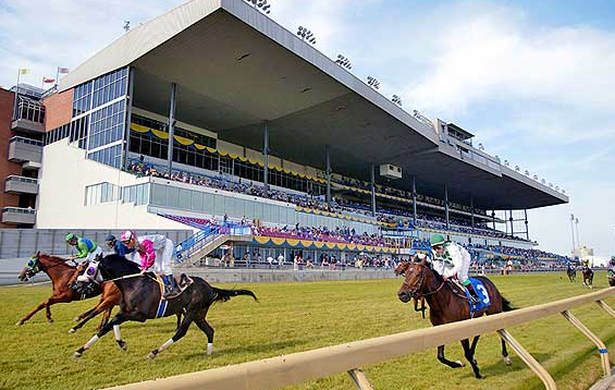 Woodbine Racetrack Google image from http://www.sightseeingtoronto.com/mempics/1018585591482b8362a7a111.32740291.jpg