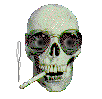 Visit My Script Crypt for Other Tricks