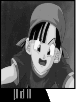 Pan