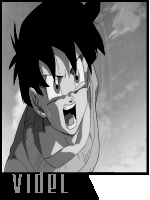 Videl