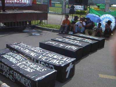 coffins
