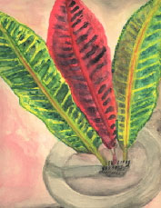 Drawn in 1986 (At the age of 7!)