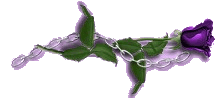 chrsbar.gif (7423 bytes)