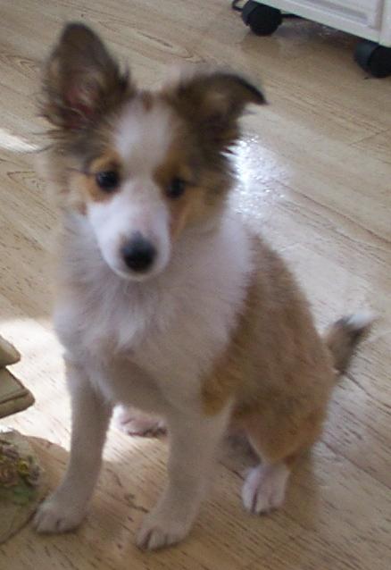 Molly