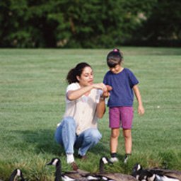 Feeding the Gulls