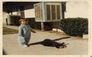 Watch Out Kitty Cat