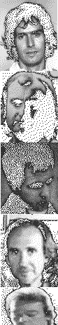 /user/genesisline.gif