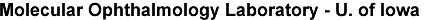 Molecular Ophthalmology Laboratory - University of Iowa