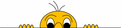 head
