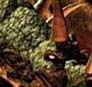 Bloodrot, a green Abishai - A dangerous demon with unknown motives
