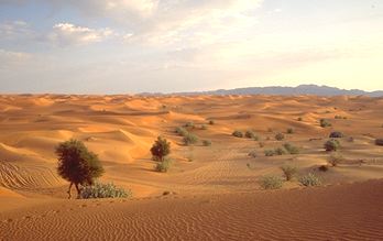 United Arab Emirates - Desert