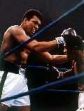 Lucharon hasta la extenuaci�n.