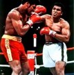 Agosto de 1978. Al� recupera el cetro mundial.