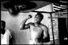 �Parece que se aburre!