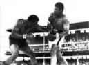 Muhammad Al�-Alvin Lewis, 19 de julio de 1972.