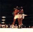 Ernie Terrell, un duro rival.